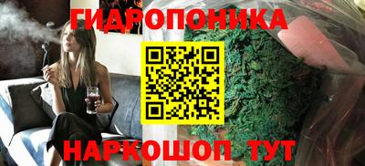 гашик Бузулук