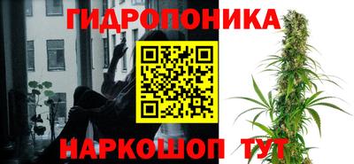 гашик Бузулук